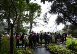Semana da Árvore e da Floresta 2024 no Parque Ecológico do Funchal