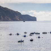 21ª Regata de Canoas Tradicionais: evento fez parte do Programa do Dia da Cidade