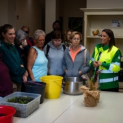 Ecology Day: Nádia Coelho realça trabalho efectuado na plantação de plantas indígenas de Uveira-da-Serra no Parque Ecológico do Funchal