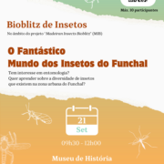 Bioblitz de Insetos