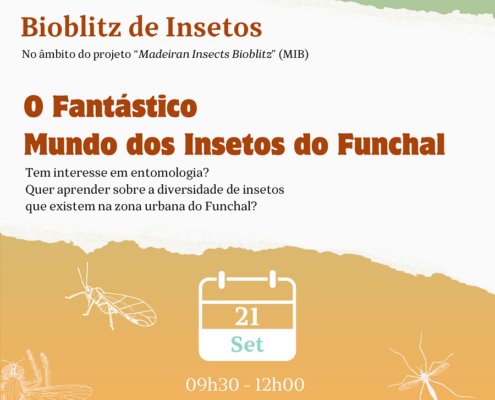 Bioblitz de Insetos