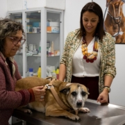 CMF lança nova campanha gratuita de profilaxia médica