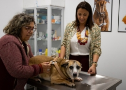 CMF lança nova campanha gratuita de profilaxia médica