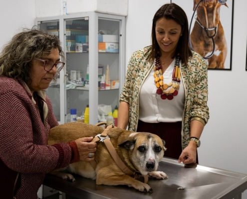 CMF lança nova campanha gratuita de profilaxia médica