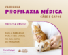 Campanha profilaxia médica para cães e gatos 2024