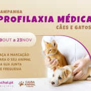 Campanha profilaxia médica para cães e gatos 2024