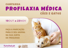 Campanha profilaxia médica para cães e gatos 2024