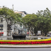 Manhãs de Páscoa enfeitam cidade do Funchal celebrando o Natal