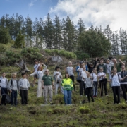 Município do Funchal celebra o Dia Mundial da Árvore no Parque Ecológico: iniciativa contou com 173 participantes