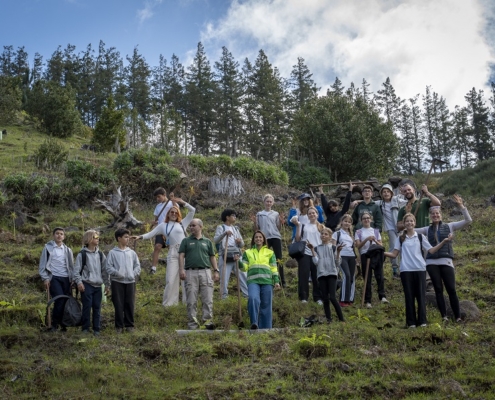 Município do Funchal celebra o Dia Mundial da Árvore no Parque Ecológico: iniciativa contou com 173 participantes