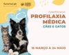 Campanha de profilaxia médica para cães e gatos