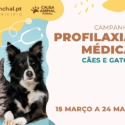 Campanha de profilaxia médica para cães e gatos