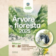 Semana da Árvore e da Floresta 2025